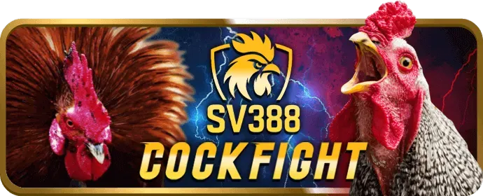 Chính sách bảo mật dữ liệu của 8qbet login